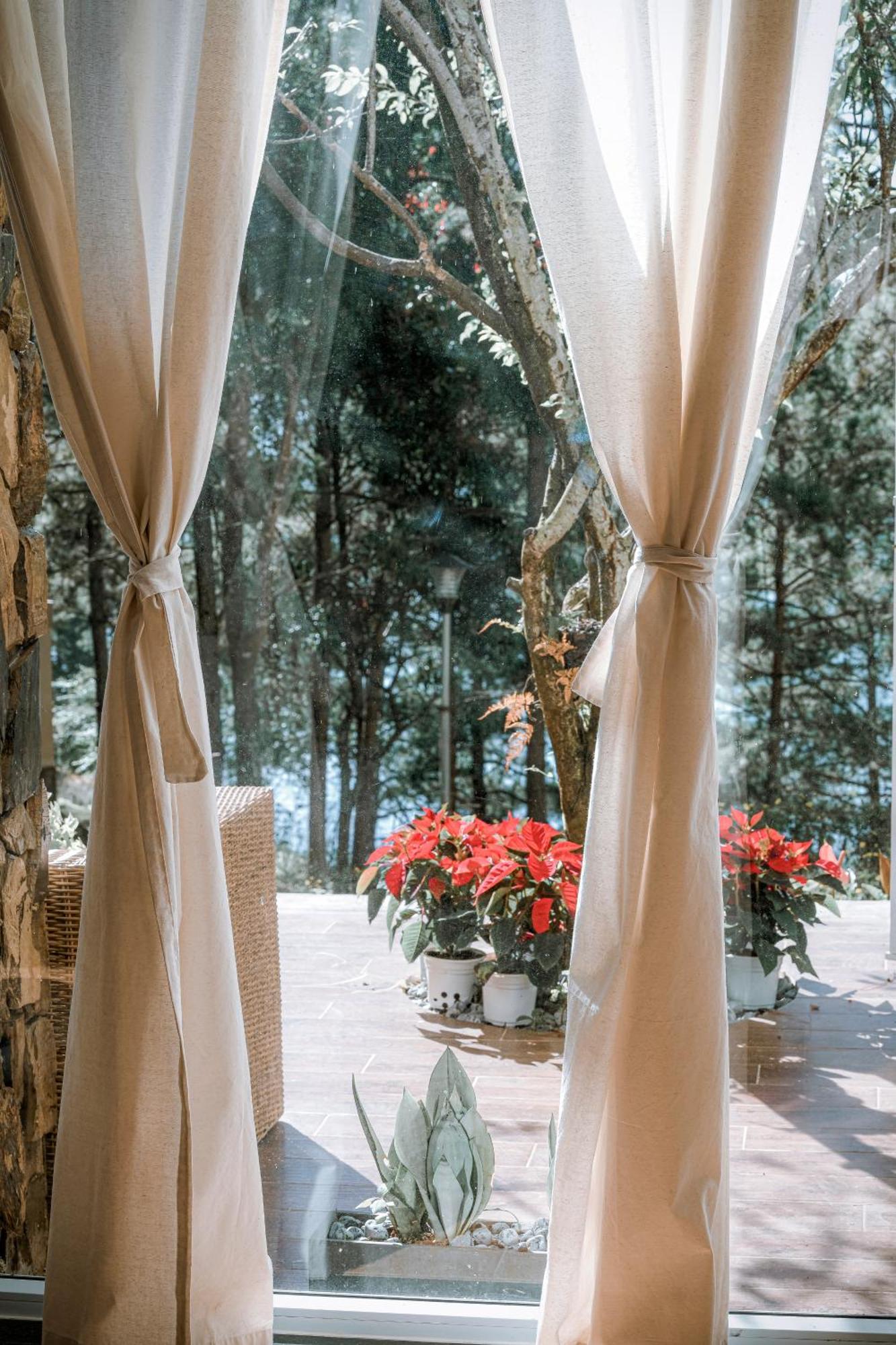 Dahlia Dalat Aparthotel Ngoại thất bức ảnh