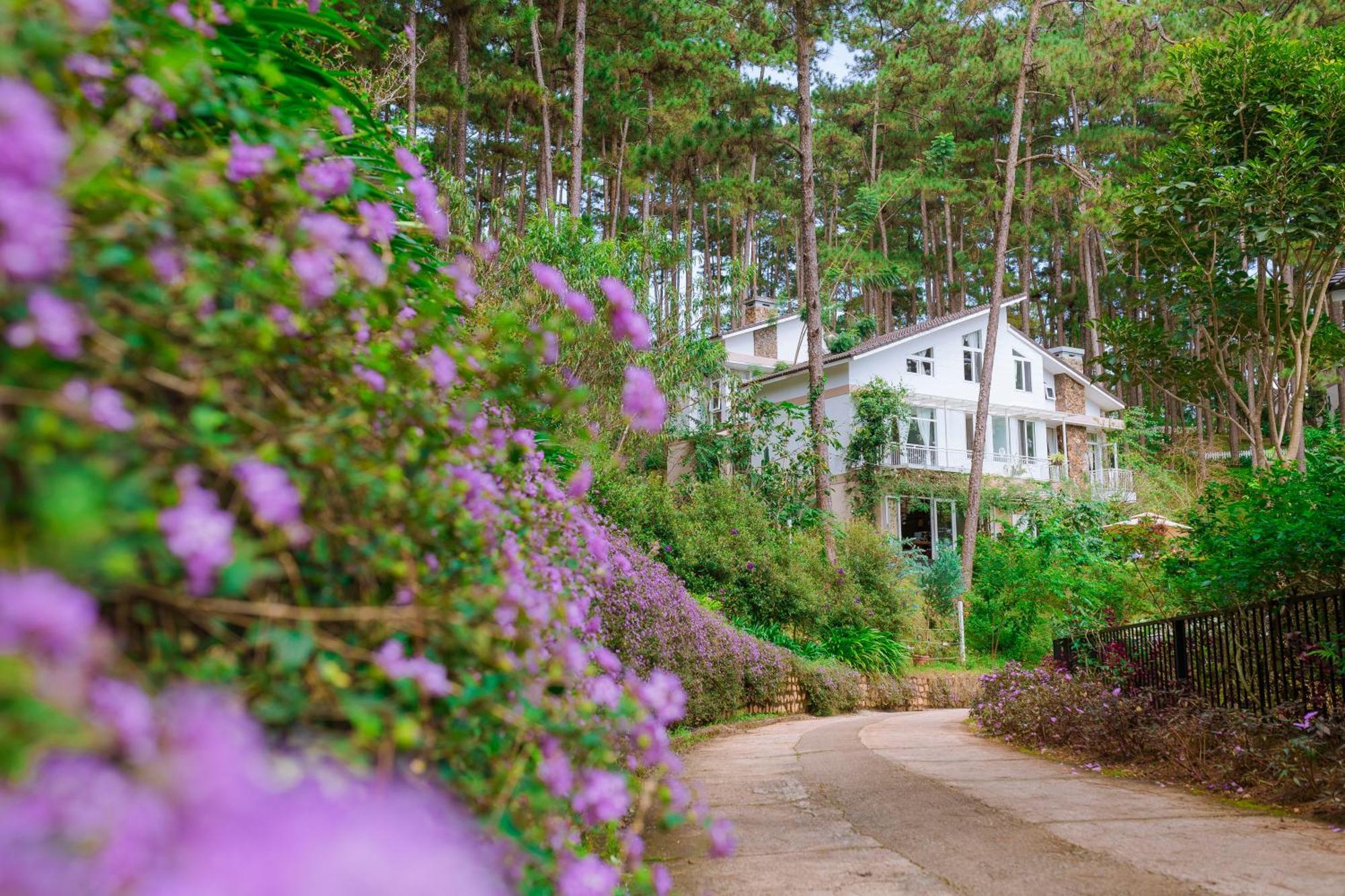 Dahlia Dalat Aparthotel Ngoại thất bức ảnh